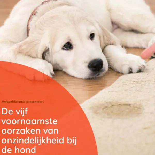 Ebook: De vijf voornaamste oorzaken van onzindelijkheid bij de hond
