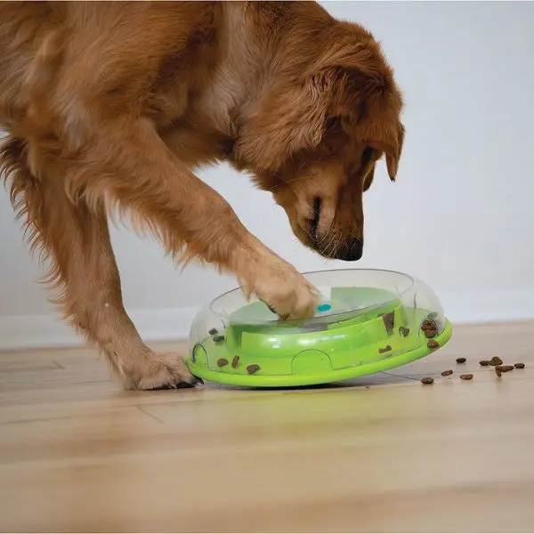 Nina Ottosson Wobble Bowl - Afbeelding 2