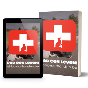 online cursus: EHBO voor honden