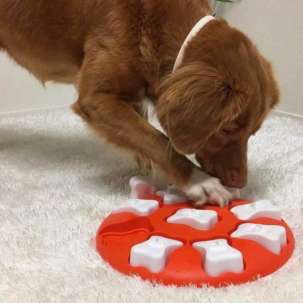 nina ottosson dog smart met hond - kwispeltherapie