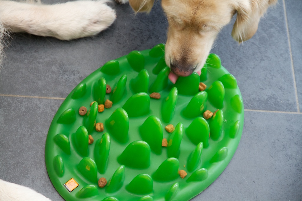 voerbak Green Mini - Kwispeltherapie