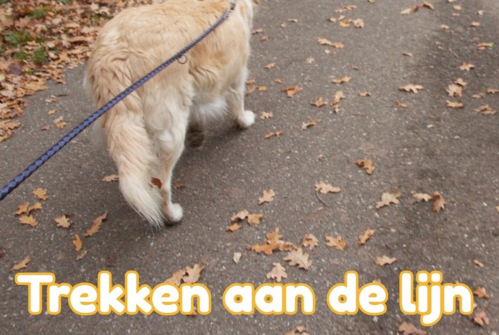 “Trekken aan de lijn”, zo raak je er vanaf