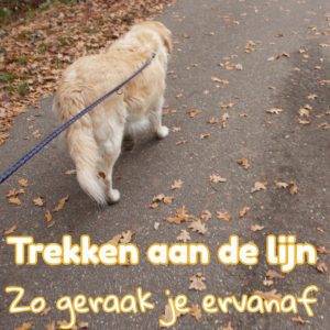 ebook trekken aan de lijn - Kwispeltherapie