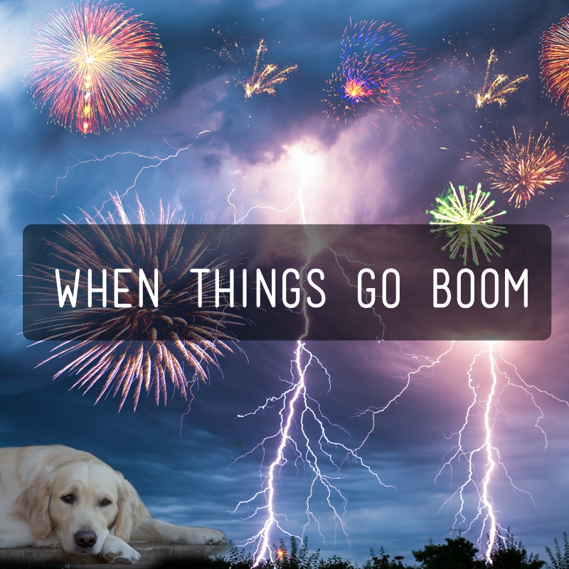 When things go boom-bundel - Kwispeltherapie