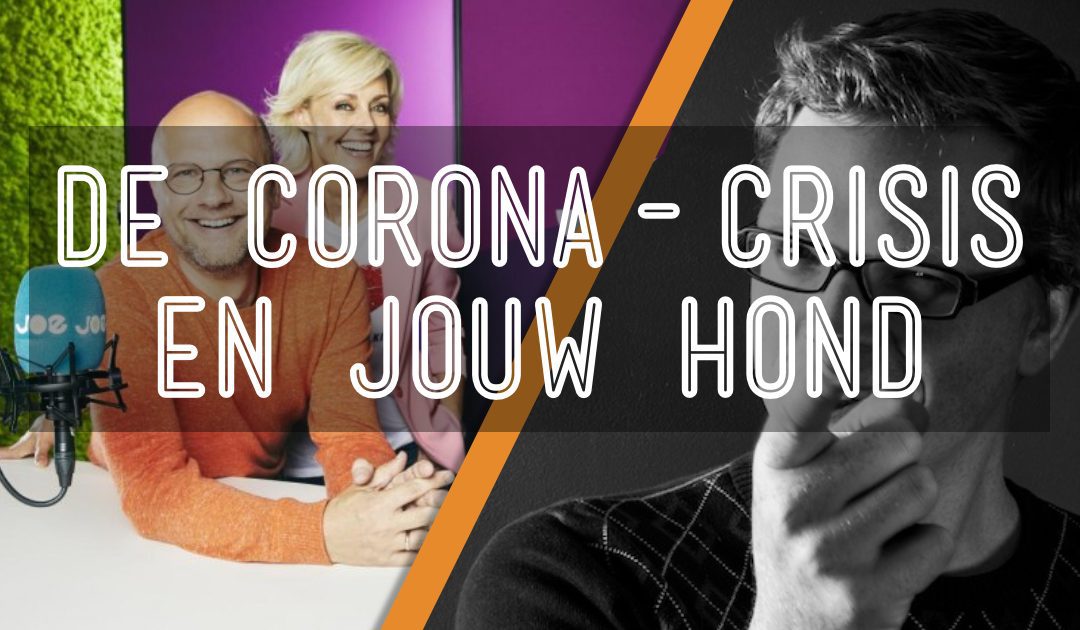 De corona-crisis en jouw hond