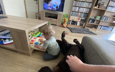 De 8 gouden regels voor een prettige kind-hond relatie