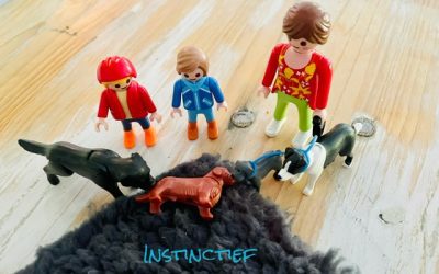 “Het was toch maar een hond…” – over rouwen om je hond