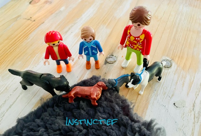 Rouwen om je hond - kwispeltherapie Rouwen om je hond - kwispeltherapie