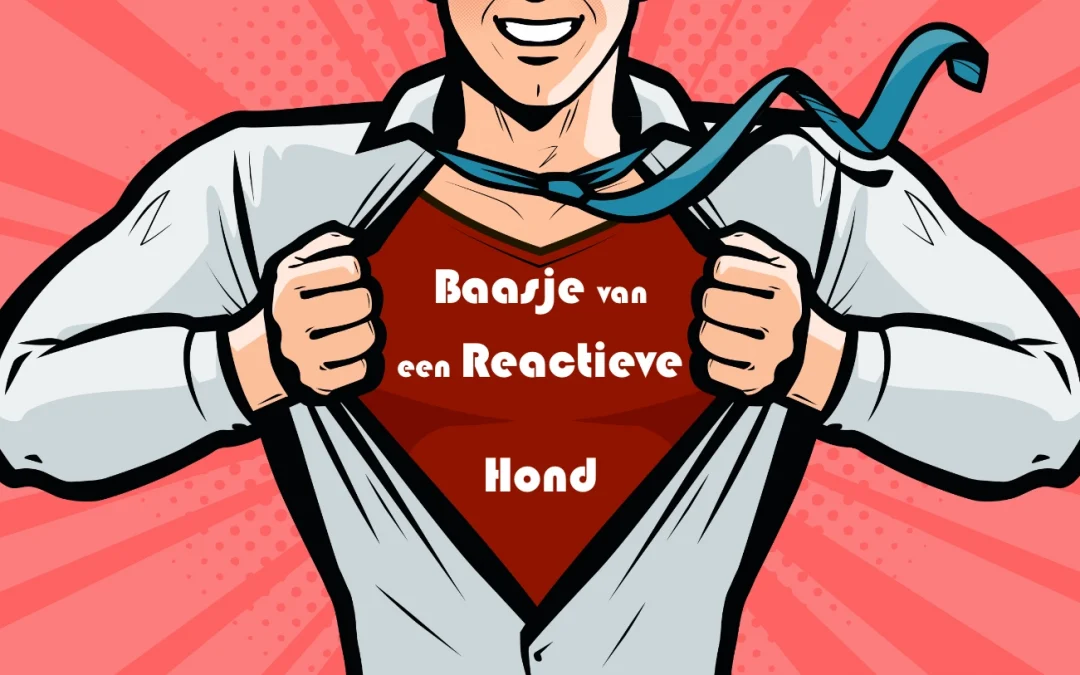 Verscholen helden